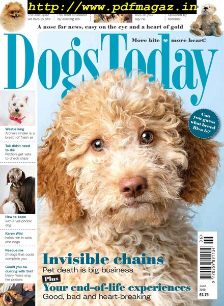 Dogs Today UK – June 2019