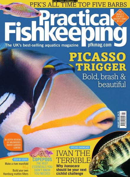 Practical Fishkeeping – January 2020