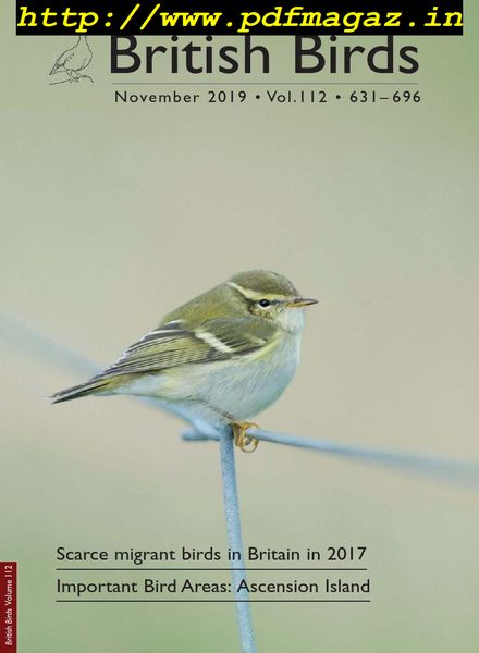 British Birds – November 2019