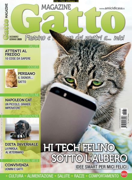 Gatto Magazine – dicembre 2019