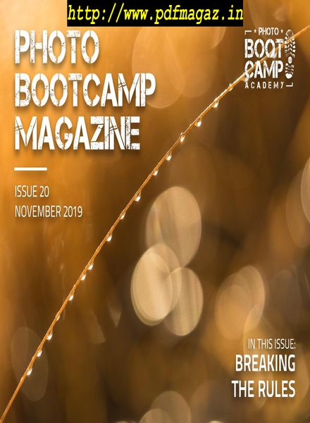 Photo BootCamp – November 2019