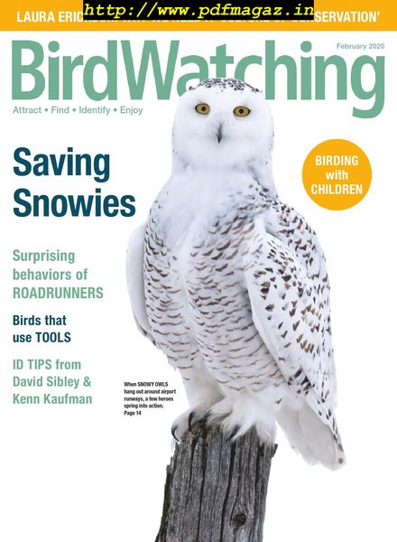 BirdWatching USA – January-February 2020