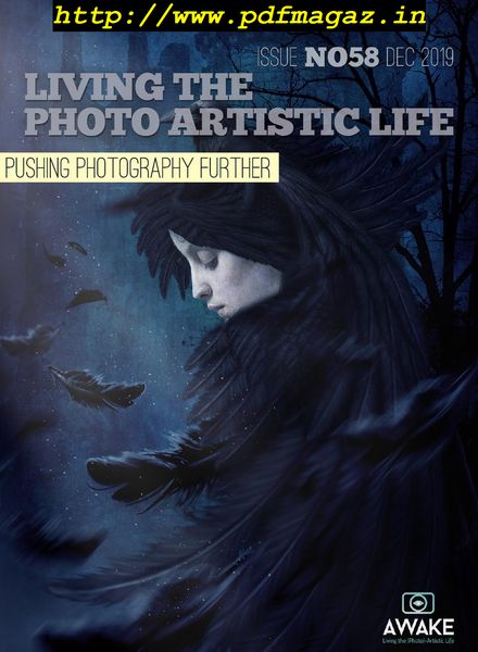 Living The Photo Artistic Life – December 2019