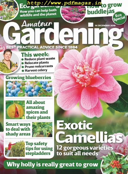 Amateur Gardening – 14 December 2019