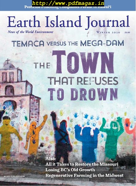 Earth Island Journal – November 2019