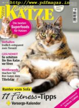 Geliebte Katze – Dezember 2019