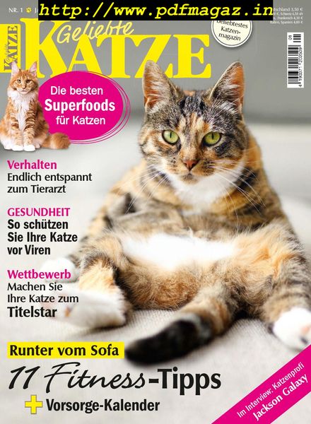 Geliebte Katze – Dezember 2019