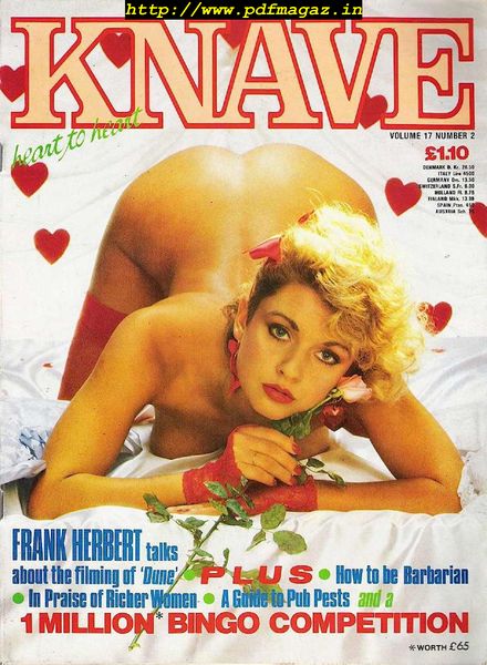 Knave – Volume 17 N 2, February 1985