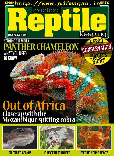 Practical Reptile Keeping – Issue 120 – December 2019
