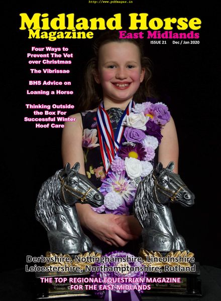 Midland Horse East Midlands – November 2019