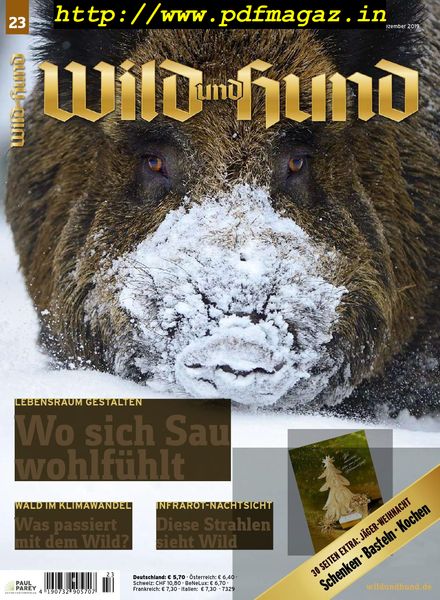 Wild und Hund – 5 Dezember 2019