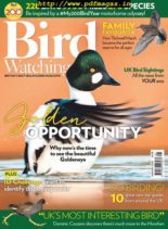 Bird Watching UK – January 2020