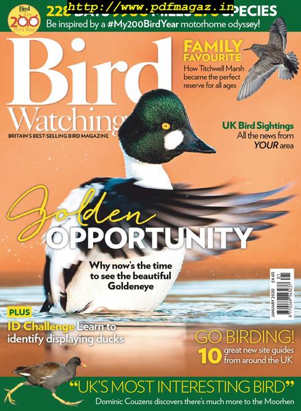 Bird Watching UK – January 2020