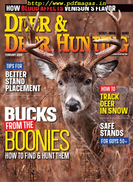 Deer & Deer Hunting – February 2020