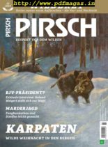 Pirsch – 2019-12-10