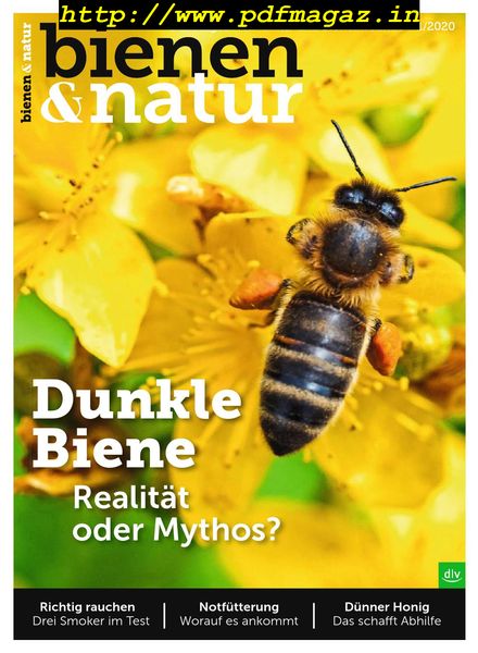 Bienen&Natur – Dezember 2019
