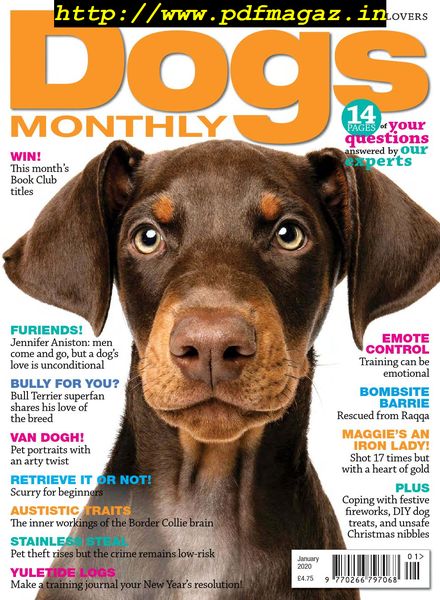 Dogs Monthly – January 2020