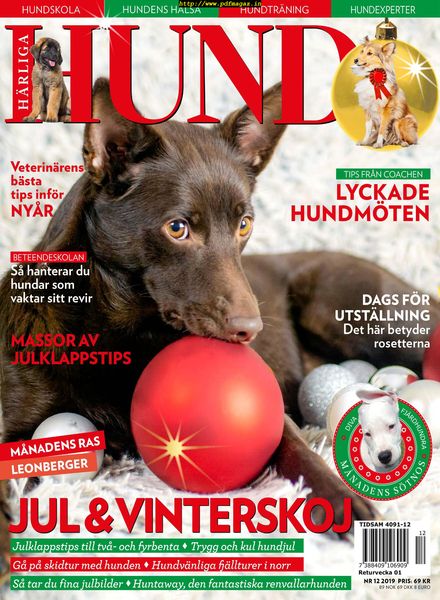 Harliga Hund – 27 november 2019