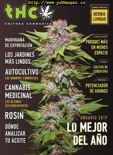 Revista THC – noviembre 2019