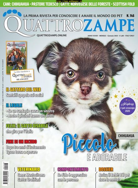 QuattroZampe – gennaio 2020