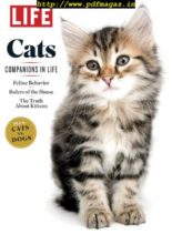 LIFE – Cats 2019