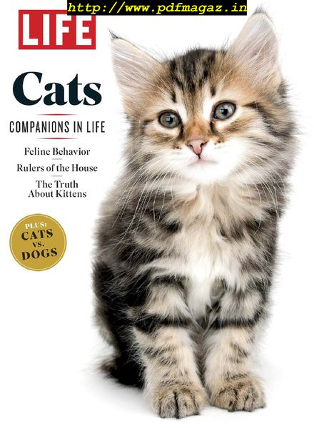 LIFE – Cats 2019