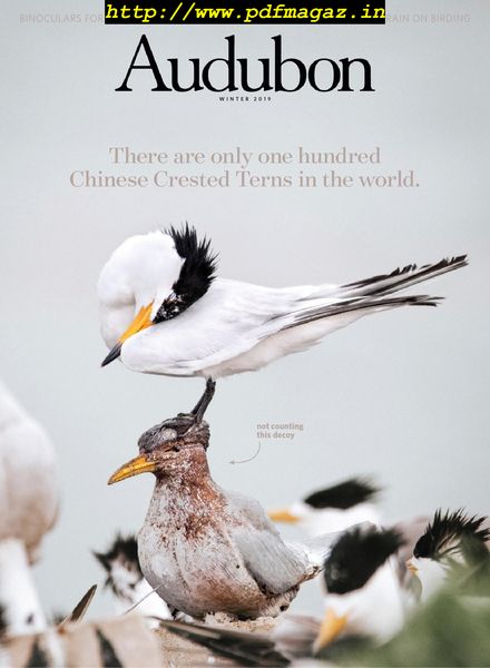 Audubon Magazine – December 2019