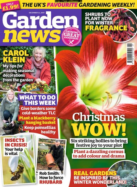Garden News – 17 December 2019