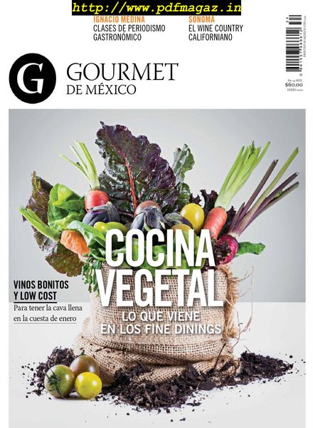 Gourmet de Mexico – enero 2020