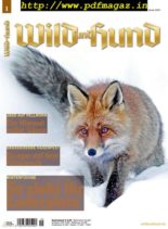 Wild und Hund – 2 Januar 2020