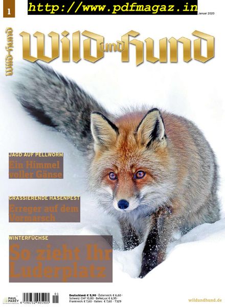 Wild und Hund – 2 Januar 2020