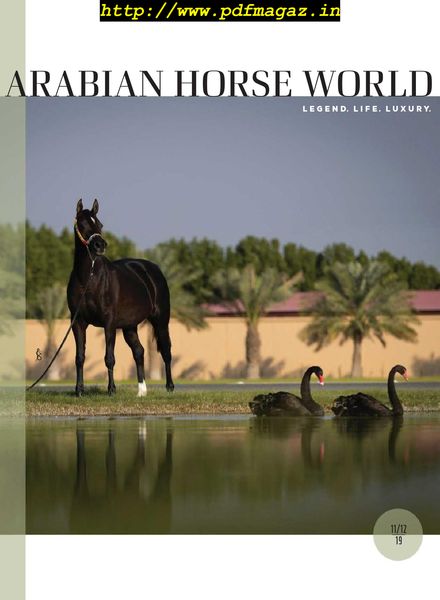 Arabian Horse World – November 2019