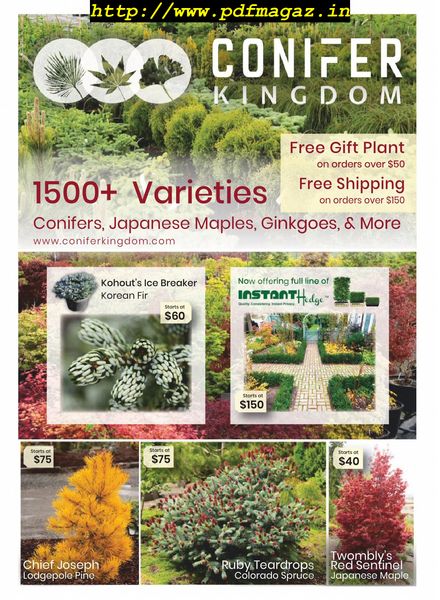 Horticulture – January 2020