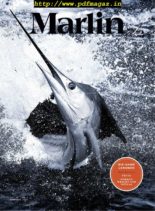 Marlin – February 2020