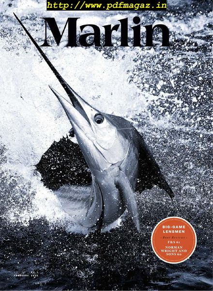 Marlin – February 2020