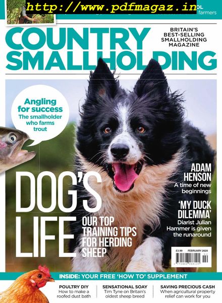 Country Smallholding – February 2020