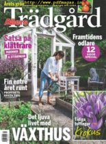 Allers Tradgard – februari 2020