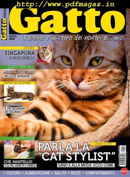 Gatto Magazine – Marzo 2018