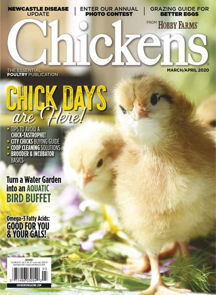 Chickens – March-April 2020
