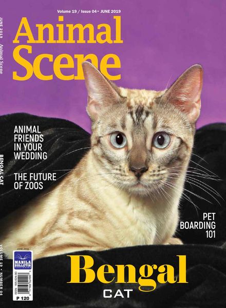 Animal Scene – June 2019
