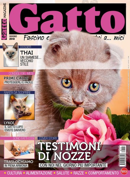 Gatto Magazine – Giugno 2018