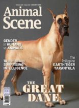 Animal Scene – January 2020