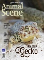 Animal Scene – July 2019
