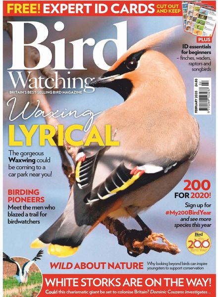 Bird Watching UK – February 2020