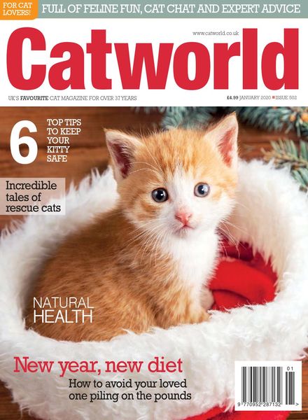 Cat World – Issue 502 – January 2020