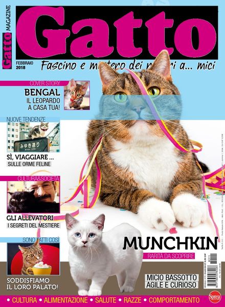 Gatto Magazine – Febbraio 2018