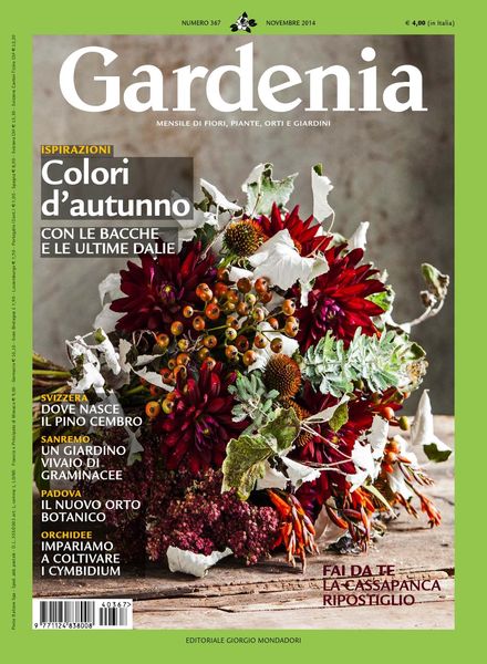 Gardenia – Novembre 2014