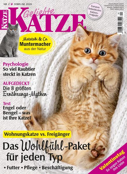 Geliebte Katze – Januar 2020