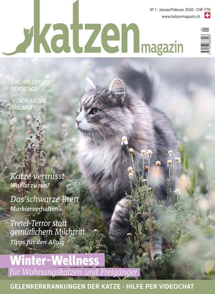 Katzen Magazin – Januar-Februar 2020