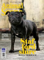 Animal Scene – May 2019